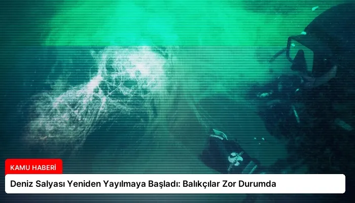 Deniz Salyası Yeniden Yayılmaya Başladı: Balıkçılar Zor Durumda