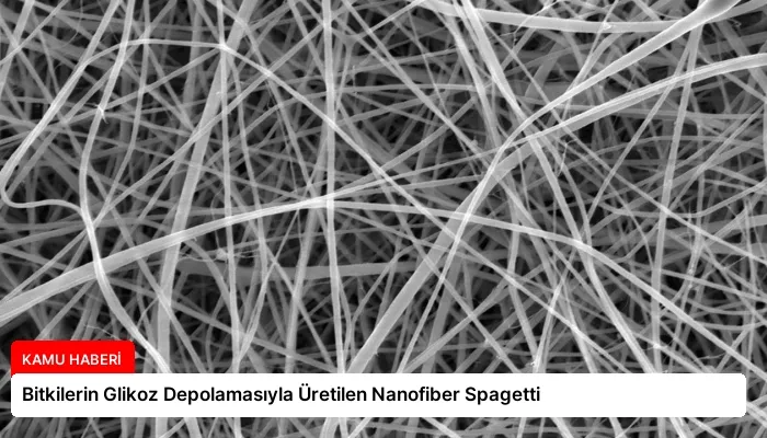 Bitkilerin Glikoz Depolamasıyla Üretilen Nanofiber Spagetti