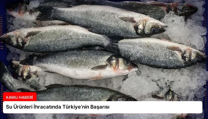 Su Ürünleri İhracatında Türkiye’nin Başarısı