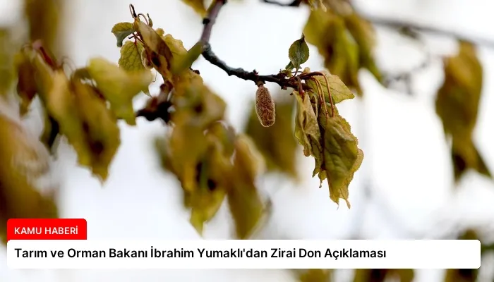 Tarım ve Orman Bakanı İbrahim Yumaklı’dan Zirai Don Açıklaması