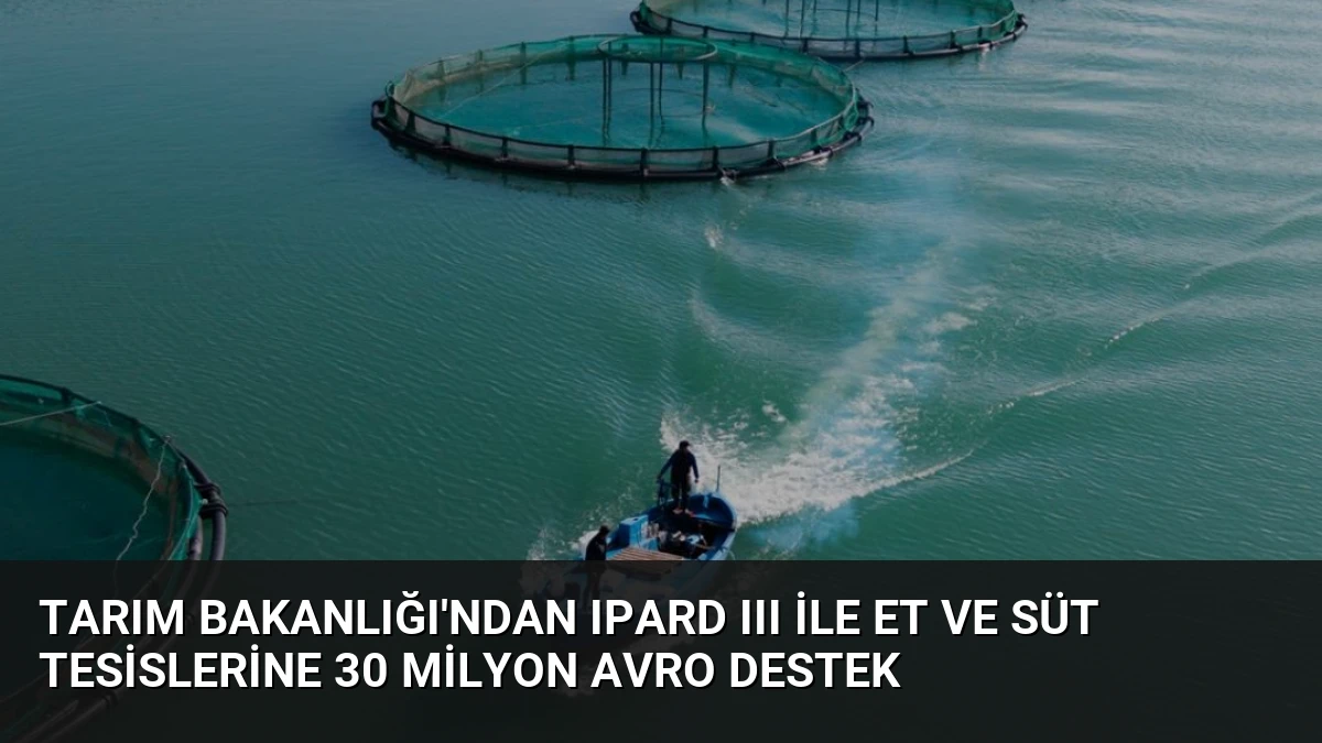 Tarım Bakanlığı’ndan IPARD III ile Et ve Süt Tesislerine 30 Milyon Avro Destek