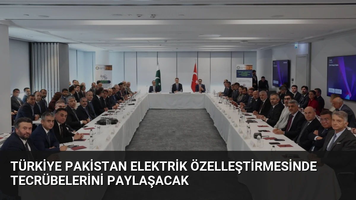 Türkiye Pakistan Elektrik Özelleştirmesinde Tecrübelerini Paylaşacak