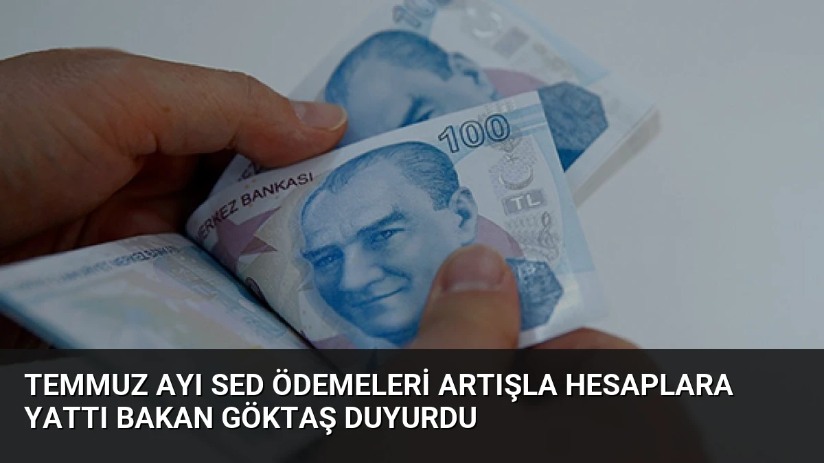 Temmuz Ayı SED Ödemeleri Artışla Hesaplara Yattı Bakan Göktaş Duyurdu