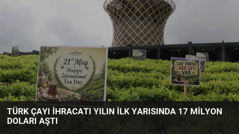 Türk Çayı İhracatı Yılın İlk Yarısında 17 Milyon Doları Aştı