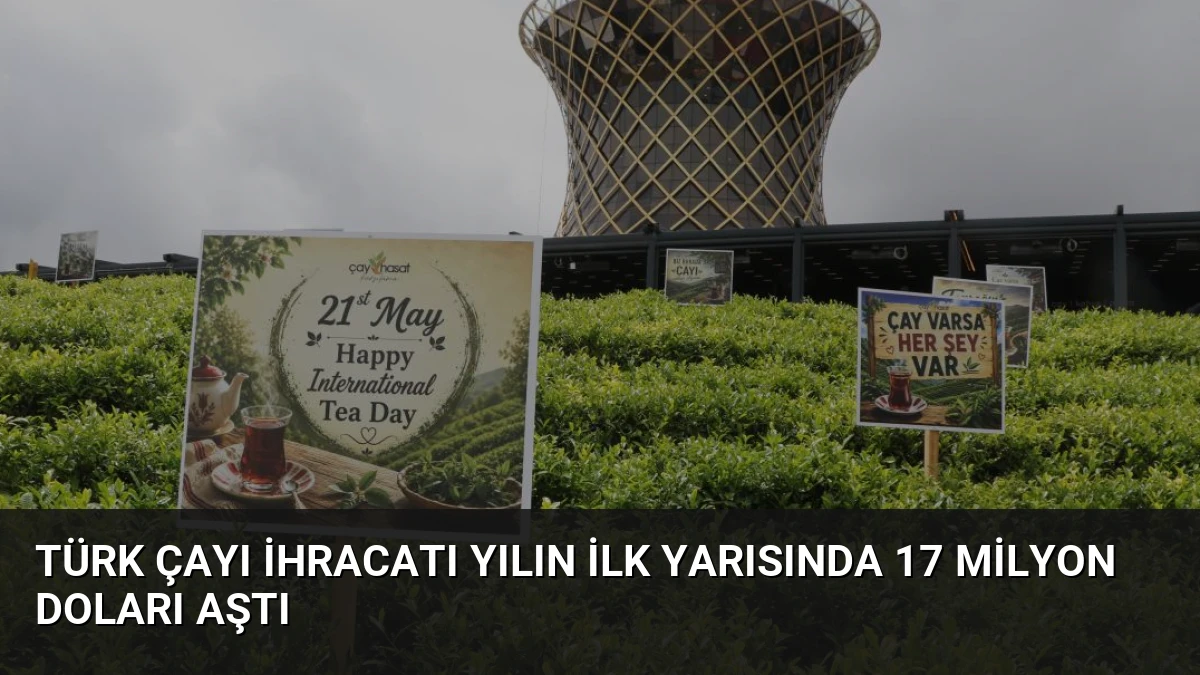 Türk Çayı İhracatı Yılın İlk Yarısında 17 Milyon Doları Aştı