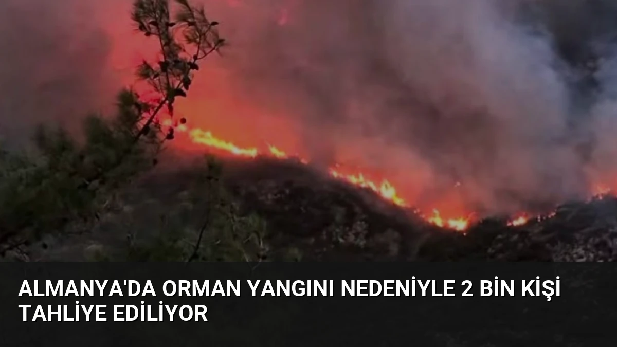 Almanya’da Orman Yangını Nedeniyle 2 Bin Kişi Tahliye Ediliyor