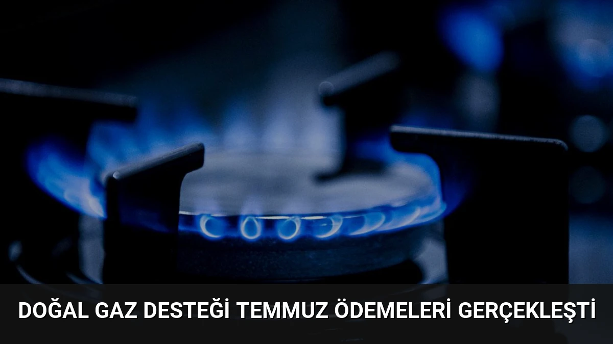 Doğal Gaz Desteği Temmuz Ödemeleri Gerçekleşti