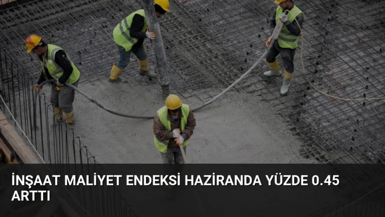 İnşaat Maliyet Endeksi Haziranda Yüzde 0.45 Arttı