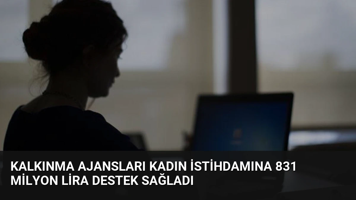Kalkınma Ajansları Kadın İstihdamına 831 Milyon Lira Destek Sağladı