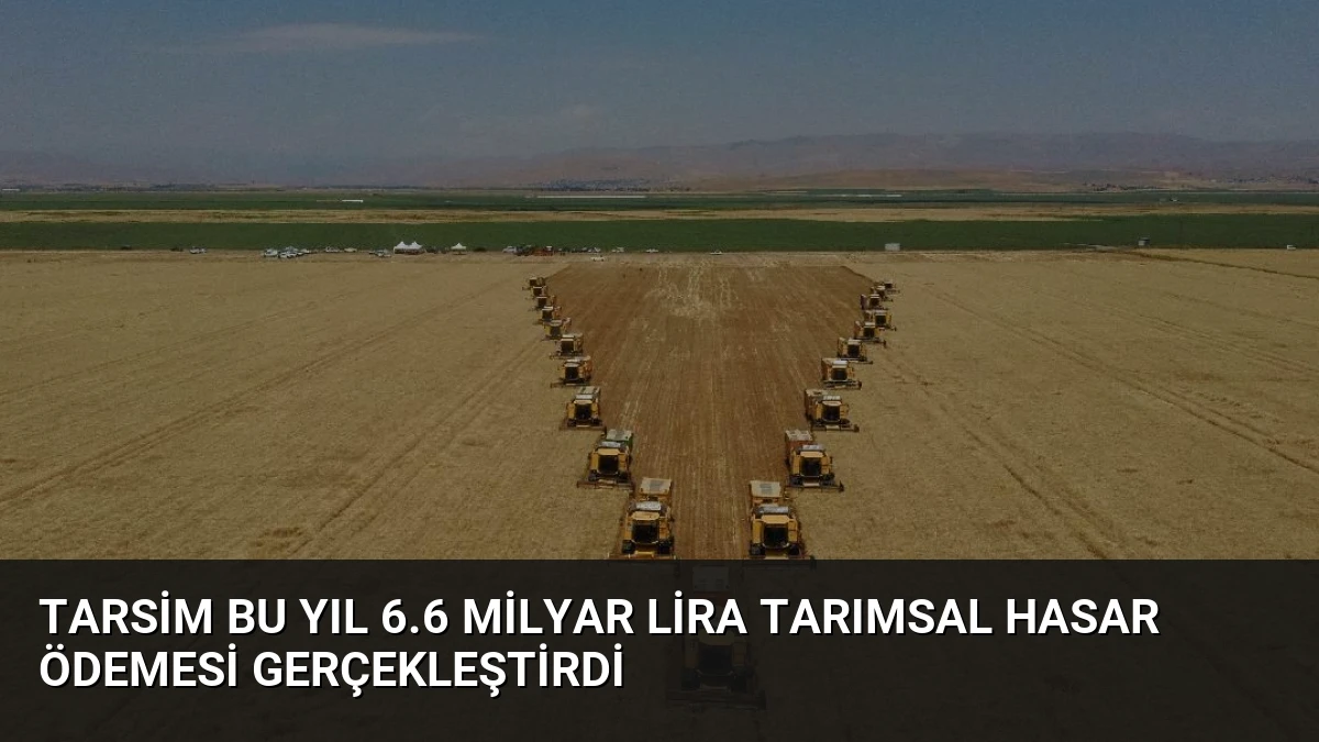 TARSİM Bu Yıl 6.6 Milyar Lira Tarımsal Hasar Ödemesi Gerçekleştirdi