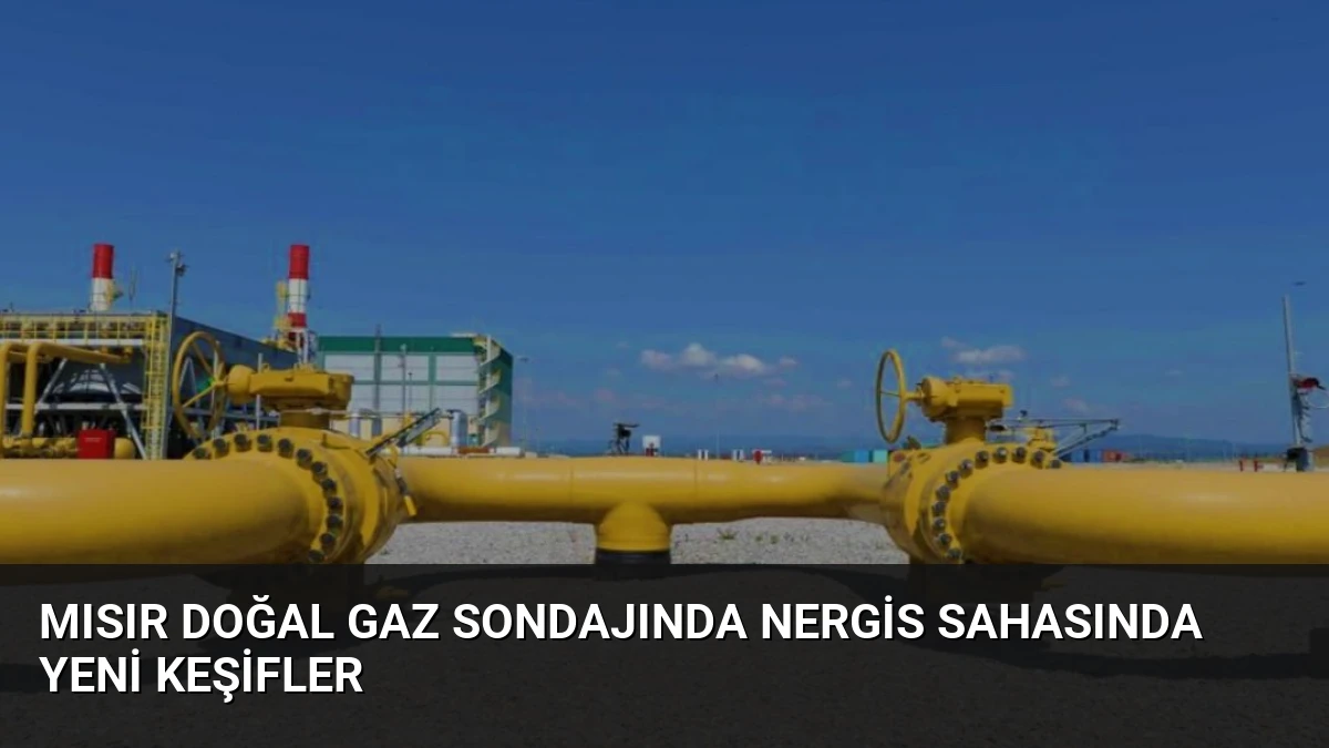 Mısır Doğal Gaz Sondajında Nergis Sahasında Yeni Keşifler