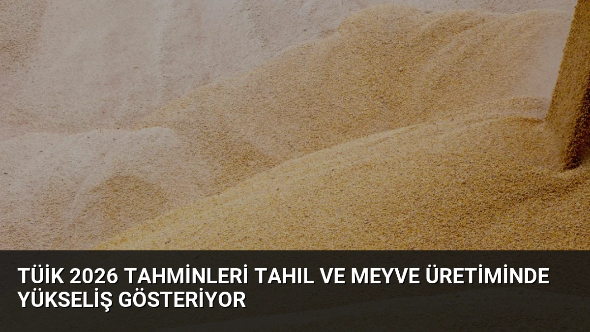 TÜİK 2026 Tahminleri Tahıl ve Meyve Üretiminde Yükseliş Gösteriyor