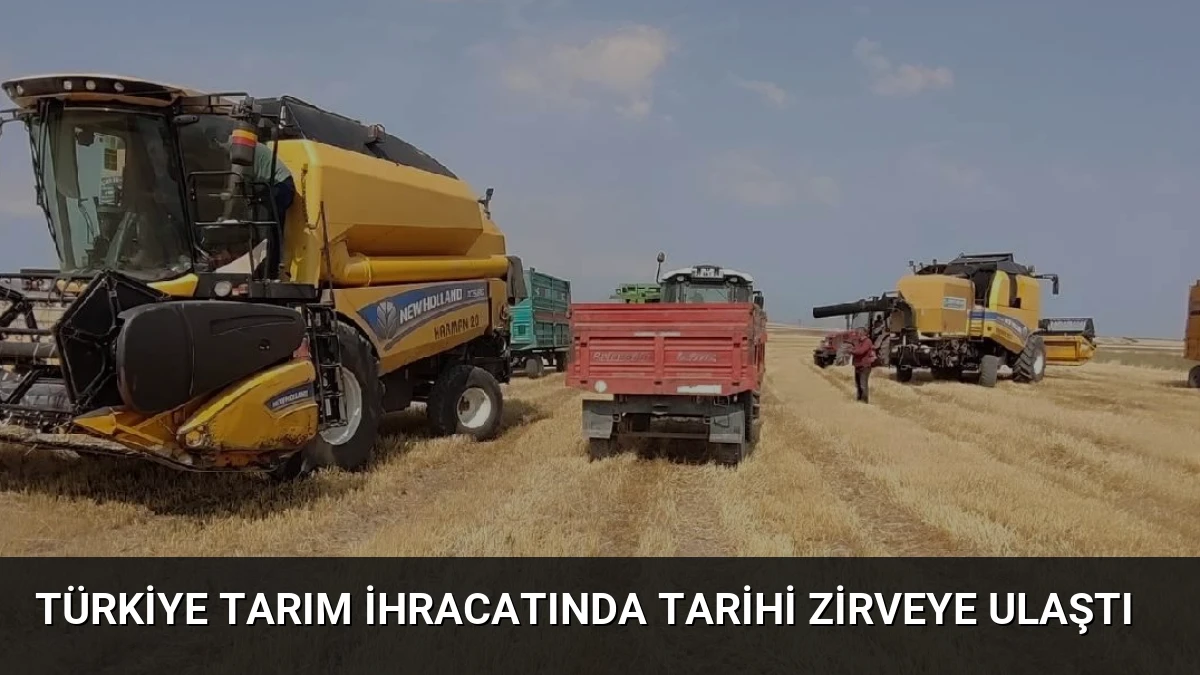 Türkiye Tarım İhracatında Tarihi Zirveye Ulaştı
